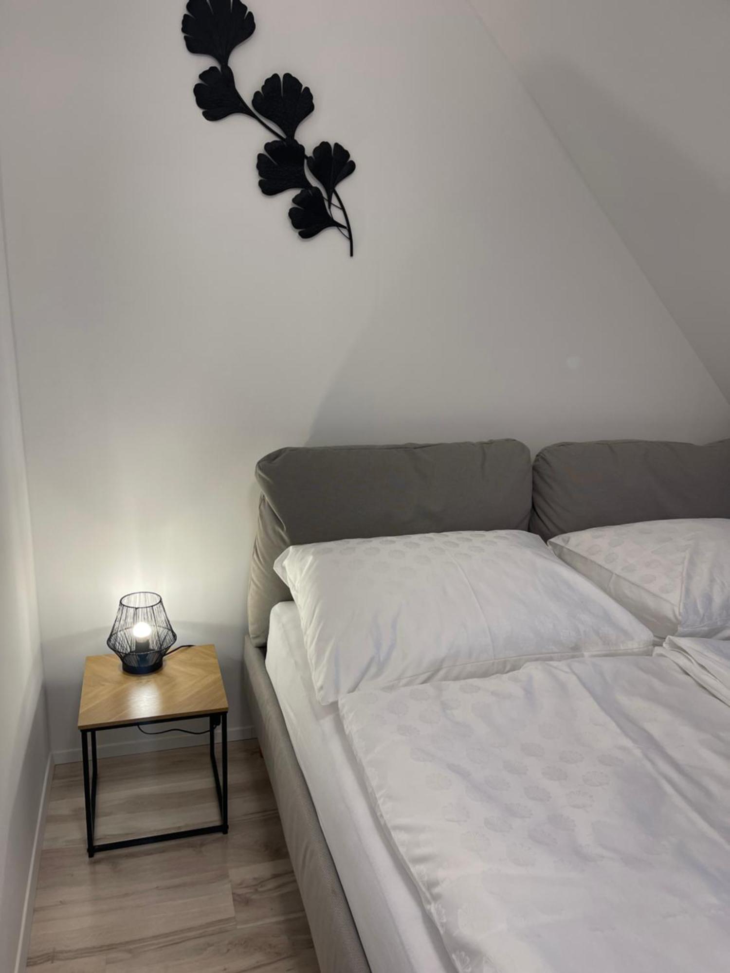 Apartmanovy Dum Jansky Sen ヤンスケー・ラーズニェ エクステリア 写真
